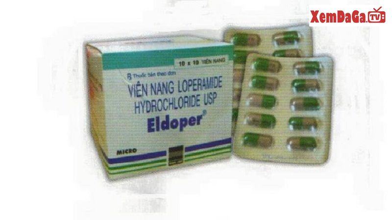 chữa bệnh gà uống nhiều nước