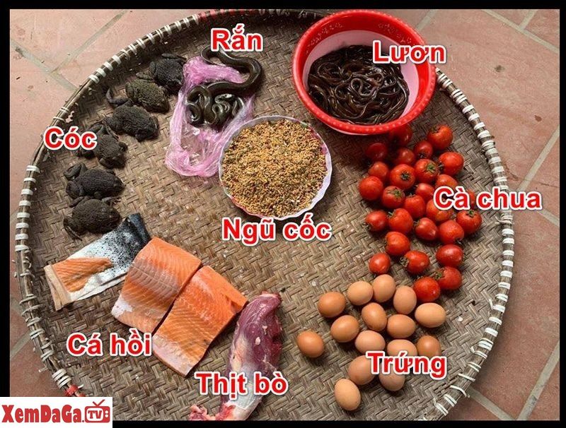 gà đá siêu đẳng