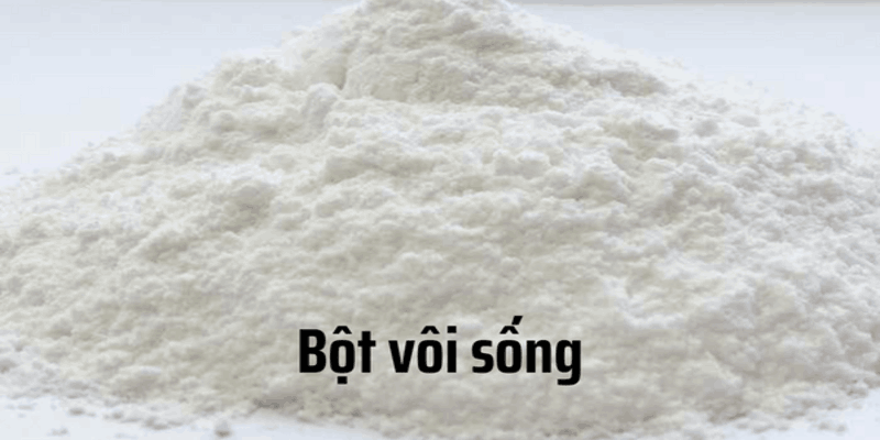 cách diệt mạt gà cach-diet-mat-ga-2